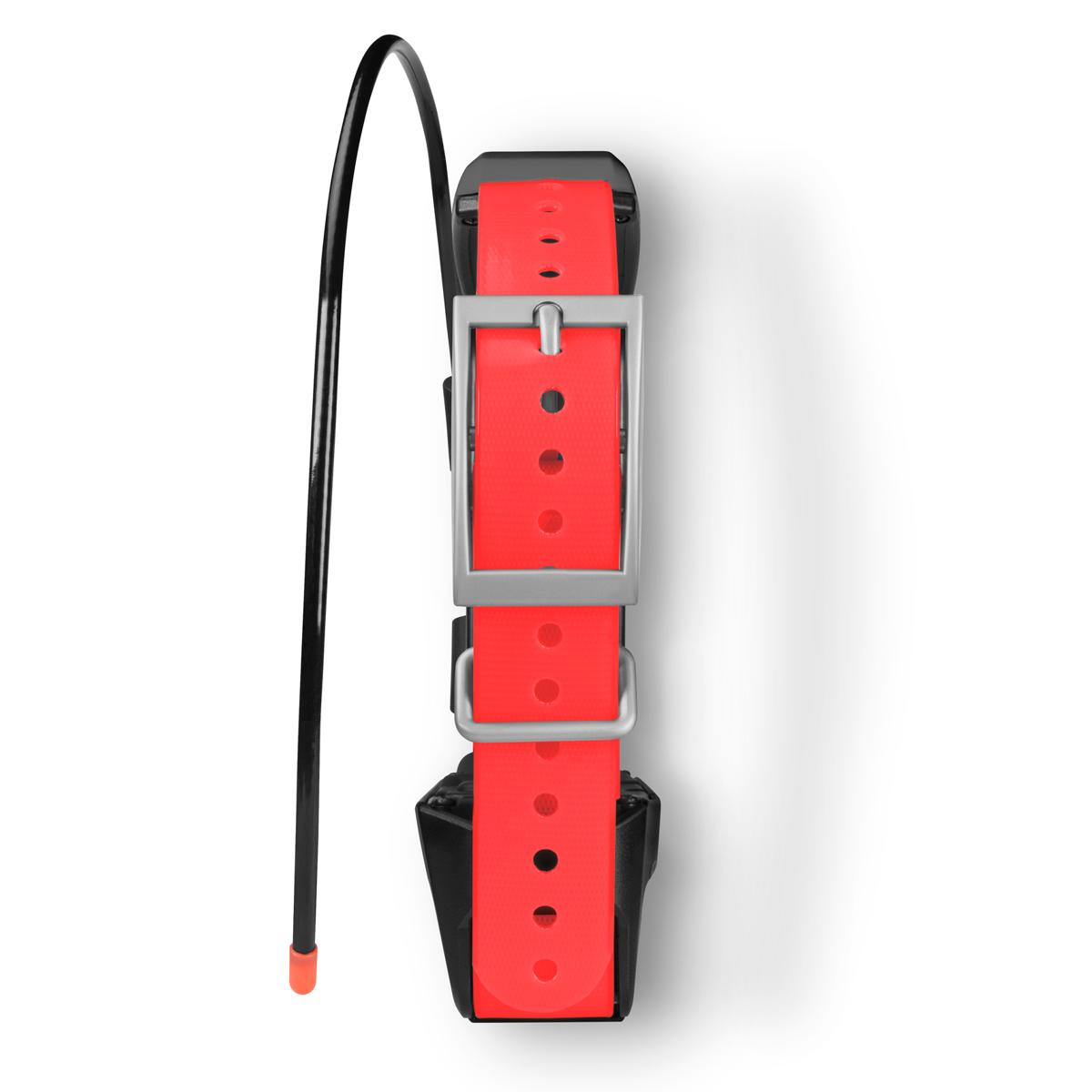 Garmin TT 15X Dog Tracker and Trainer Device