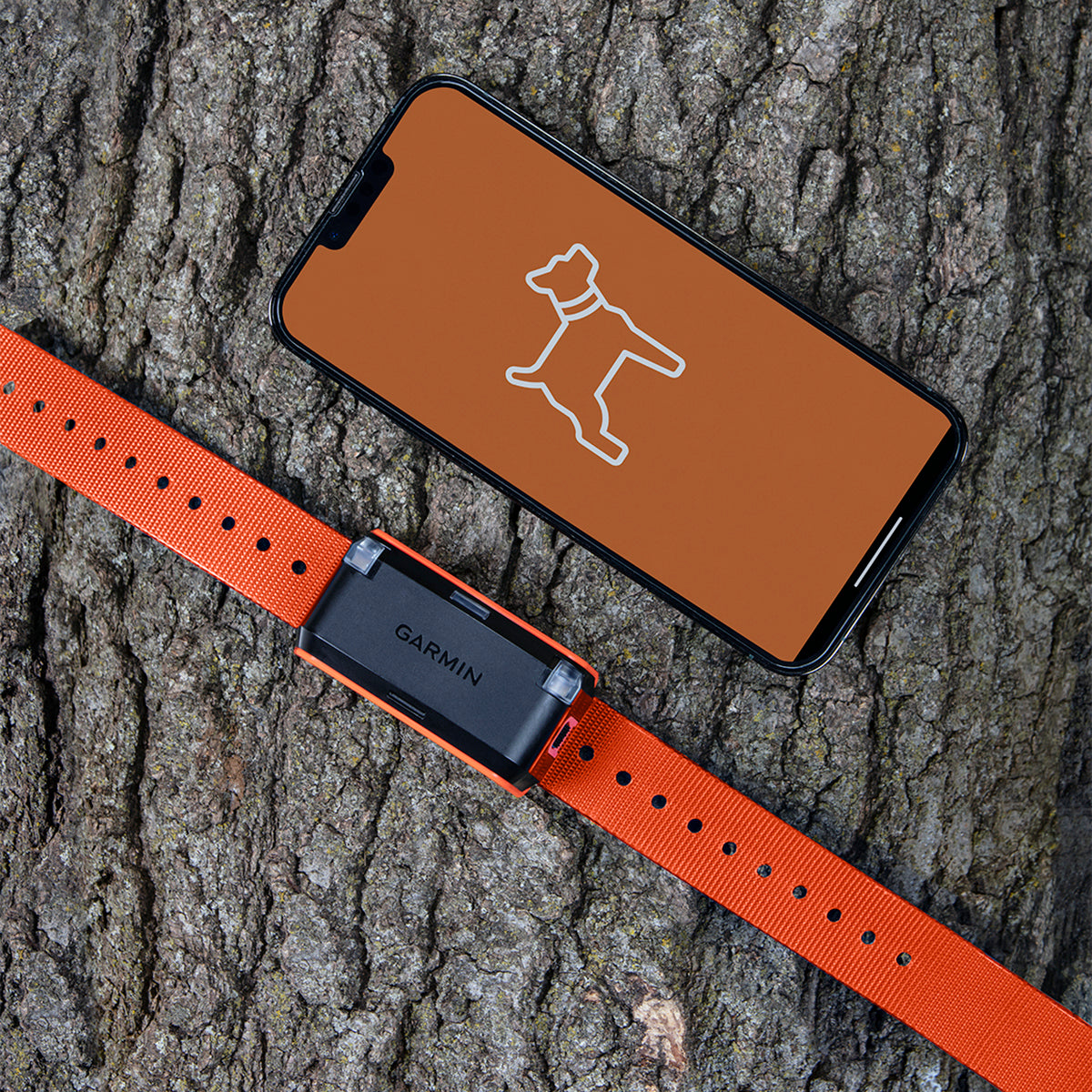 Garmin Alpha LTE Dog Tracker