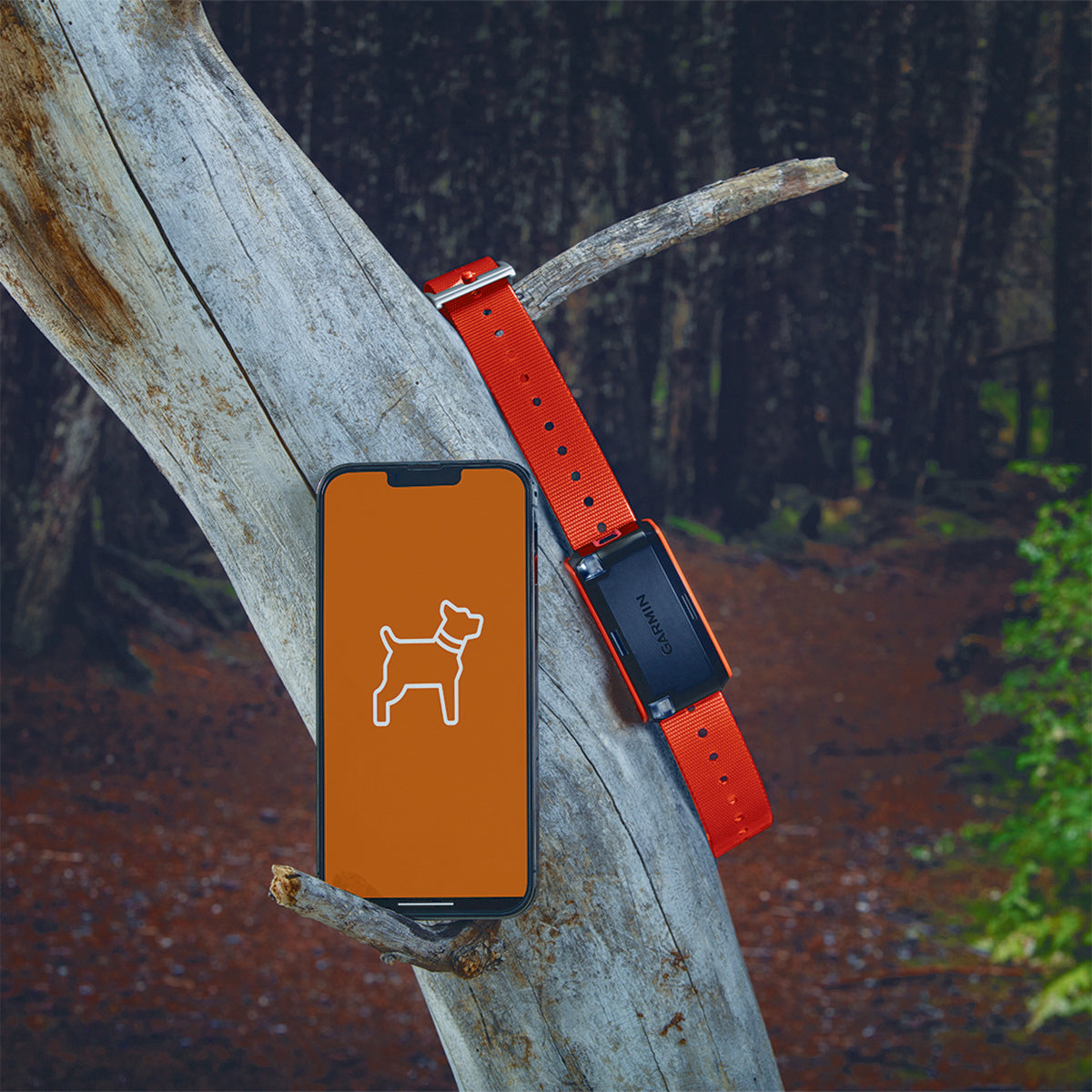 Garmin Alpha LTE Dog Tracker